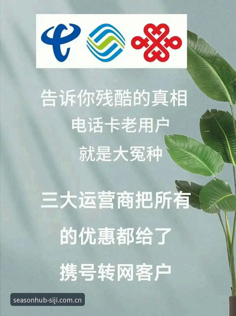 四季网靠谱吗 四季网靠谱吗?老用户实测分享:2024年最新使用体验全解析